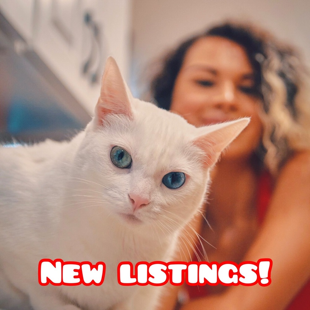 Meowza! New listings galore! SHOP NOW!